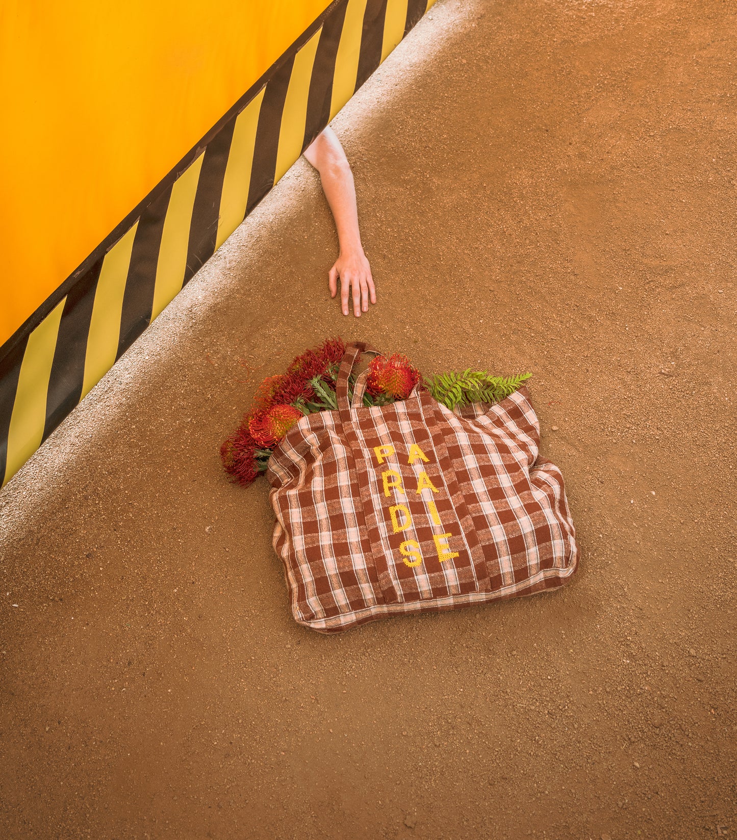 Paradise shopper